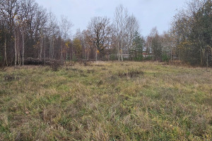 Działka na sprzedaż 6940m2 działdowski Iłowo-Osada Jagiellońska - zdjęcie 2