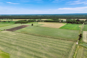 Działka na sprzedaż 13800m2 trzebnicki Trzebnica Masłowiec - zdjęcie 2