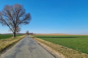 Działka na sprzedaż 23800m2 wrocławski Sobótka Siedlakowice - zdjęcie 3