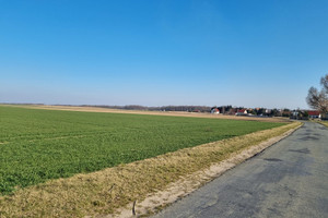 Działka na sprzedaż 23800m2 wrocławski Sobótka Siedlakowice - zdjęcie 1