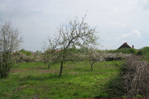 Działka na sprzedaż 3900m2 średzki Malczyce - zdjęcie 1