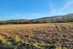 Działka na sprzedaż 11300m2 wrocławski Sobótka Będkowice - zdjęcie 2