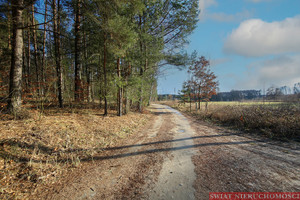 Działka na sprzedaż 3700m2 kępiński Bralin Weronikopole - zdjęcie 3