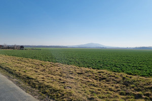 Działka na sprzedaż 23800m2 wrocławski Sobótka Siedlakowice - zdjęcie 2