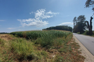 Działka na sprzedaż 30010m2 oleśnicki Oleśnica Krzeczyn - zdjęcie 1