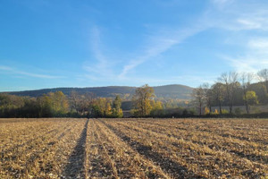 Działka na sprzedaż 11300m2 wrocławski Sobótka Będkowice - zdjęcie 3