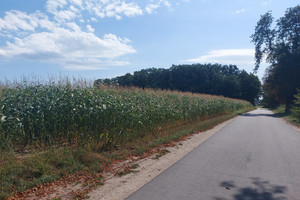 Działka na sprzedaż 30010m2 oleśnicki Oleśnica Krzeczyn - zdjęcie 2