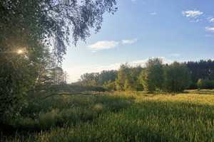 Działka na sprzedaż 6400m2 trzebnicki Trzebnica Skoroszów - zdjęcie 2