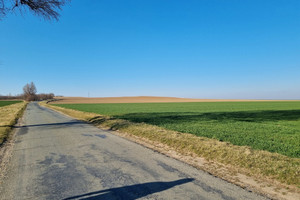 Działka na sprzedaż 23800m2 wrocławski Sobótka Siedlakowice - zdjęcie 4