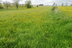 Działka na sprzedaż 1268m2 sejneński Krasnopol Adama Mickiewicza, dz. ew. nr  - zdjęcie 3