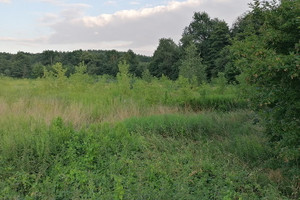 Działka na sprzedaż 9300m2 Grudziądz Ignacego Paderewskiego - zdjęcie 2