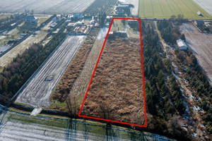 Działka na sprzedaż 9950m2 kościański Kościan - zdjęcie 2