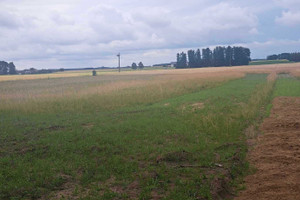 Działka na sprzedaż 1450m2 pułtuski Winnica Gnaty-Lewiski - zdjęcie 2