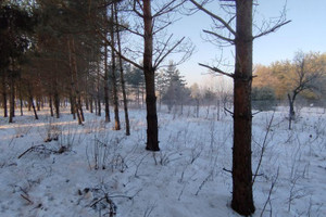 Działka na sprzedaż 803m2 zawierciański Zawiercie Winna - zdjęcie 3