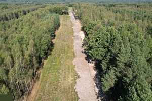 Działka na sprzedaż kolbuszowski Kolbuszowa Widełka - zdjęcie 3