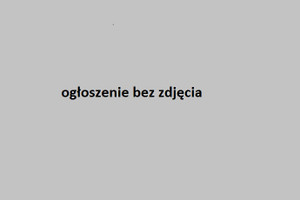 Działka na sprzedaż 1900m2 sieradzki Goszczanów - zdjęcie 1