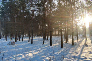 Działka na sprzedaż 803m2 zawierciański Zawiercie Winna - zdjęcie 1