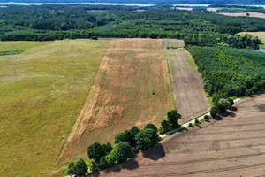 Działka na sprzedaż 61000m2 drawski Drawsko Pomorskie Linowno - zdjęcie 3