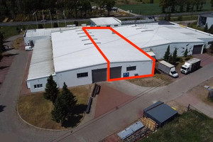 Komercyjne do wynajęcia 330m2 Koszalin Mieszka I 28 - zdjęcie 3