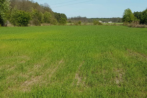 Działka na sprzedaż 1800m2 sochaczewski Iłów Miękiny - zdjęcie 1