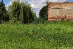 Działka na sprzedaż ząbkowicki Kamieniec Ząbkowicki - zdjęcie 1