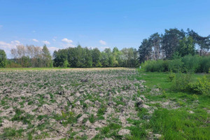 Działka na sprzedaż 1467m2 wągrowiecki Wągrowiec Kobylec - zdjęcie 2