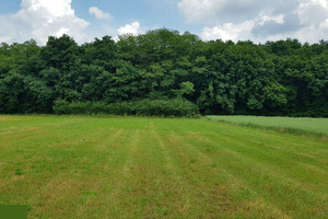 Działka na sprzedaż 4900m2 wielicki Niepołomice Chobot - zdjęcie 2