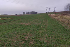 Działka na sprzedaż 1400m2 brodnicki Brodnica - zdjęcie 2