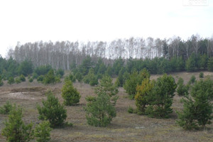 Działka na sprzedaż 79700m2 brodnicki Brzozie - zdjęcie 3