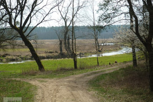 Działka na sprzedaż 79700m2 brodnicki Brzozie - zdjęcie 2