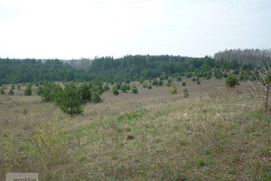 Działka na sprzedaż 79700m2 brodnicki Brzozie - zdjęcie 4