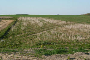 Działka na sprzedaż nowomiejski Nowe Miasto Lubawskie - zdjęcie 1