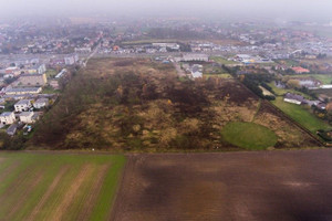 Działka na sprzedaż 7832m2 gnieźnieński Gniezno Poznańska - zdjęcie 2