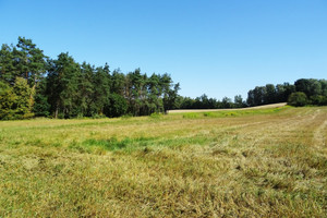 Działka na sprzedaż 48300m2 grudziądzki Gruta - zdjęcie 3