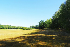 Działka na sprzedaż 48300m2 grudziądzki Gruta - zdjęcie 1