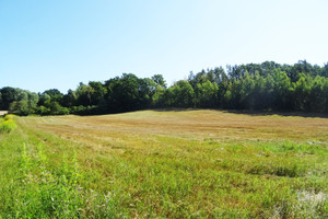 Działka na sprzedaż 48300m2 grudziądzki Gruta - zdjęcie 2