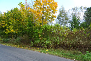 Działka na sprzedaż 6100m2 grudziądzki Grudziądz Zakurzewo - zdjęcie 2