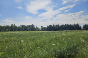 Działka na sprzedaż lubelski Niemce Nasutów - zdjęcie 3