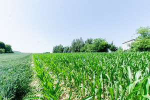 Działka na sprzedaż 1900m2 lubelski Jabłonna Piotrków Drugi - zdjęcie 1