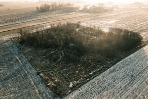 Działka na sprzedaż 4300m2 świdnicki Piaski Brzezice - zdjęcie 1