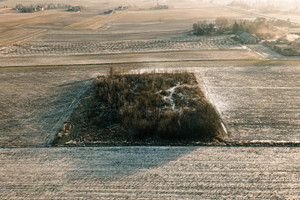 Działka na sprzedaż 4300m2 świdnicki Piaski Brzezice - zdjęcie 2