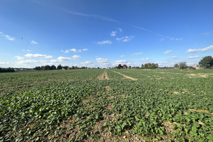 Działka na sprzedaż 1008m2 lubelski Konopnica Zemborzyce Podleśne - zdjęcie 1