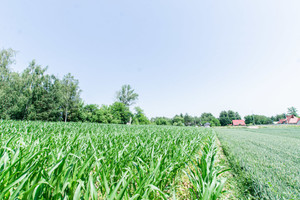 Działka na sprzedaż 1900m2 lubelski Jabłonna Piotrków Drugi - zdjęcie 1