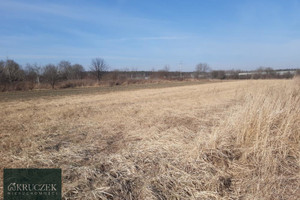 Działka na sprzedaż 7700m2 bocheński Bochnia Stanisławice - zdjęcie 4