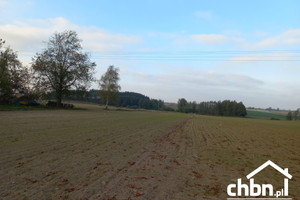 Działka na sprzedaż 7092m2 tucholski Lubiewo - zdjęcie 1