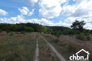 Działka na sprzedaż chojnicki Czersk Łąg-Kolonia - zdjęcie 2