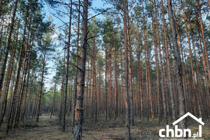 Działka na sprzedaż 3000m2 chojnicki Chojnice Owink - zdjęcie 2