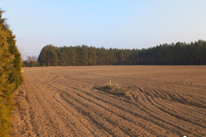 Działka na sprzedaż 2120m2 tucholski Lubiewo Sucha - zdjęcie 1