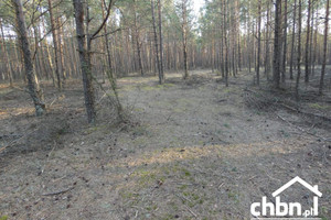 Działka na sprzedaż 3000m2 chojnicki Chojnice Owink - zdjęcie 3