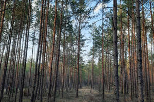 Działka na sprzedaż 3000m2 chojnicki Chojnice Owink - zdjęcie 1